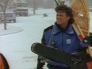 Poster for The Great Indoors