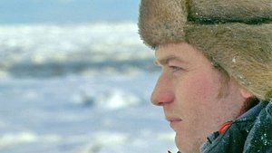 Poster for The Polar Bears of Churchill with Ewan McGregor