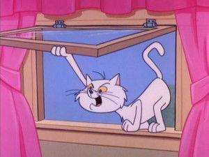 Poster for The Bird Watcher Poster for The Bird Watcher