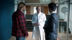 Poster for The Meaning of Life