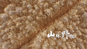 Poster for Episode 1