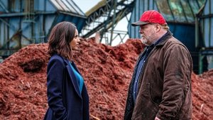 Poster for Never Kissed a Girl