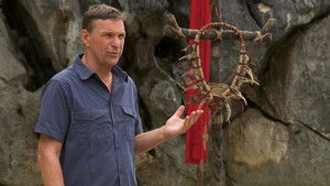 Poster for Episode 16