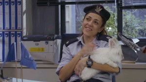 Poster for Episode 12