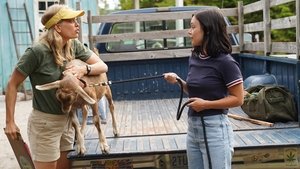 Poster for Escape Goat