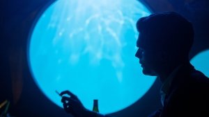 Poster for The Year of the Fin