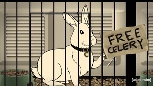 Poster for Rabbit, Not Rabbot
