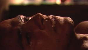 Poster for Chapter 14 Poster for Chapter 14