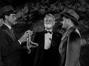 Poster for The Lily Dallas Story