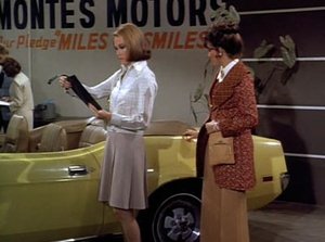 Poster for Mary Richards and the Incredible Plant Lady