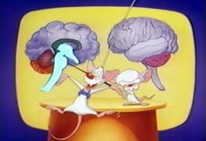 Poster for Brainstem