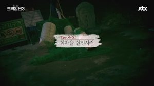 Poster for The Island Village Murder Case