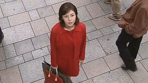 Poster for The Person I've Been Looking For