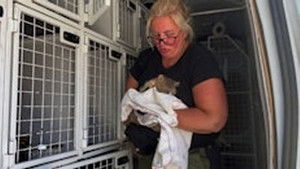 Poster for Episode 6 Poster for Episode 6