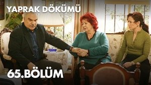 Poster for Episode 65