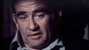 Poster for A Dangerous Age