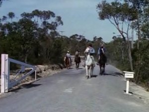 Poster for Round-Up