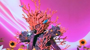 Poster for Shrek Night