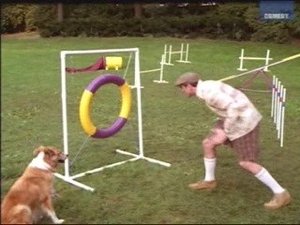 Poster for Murray at the Dog Show