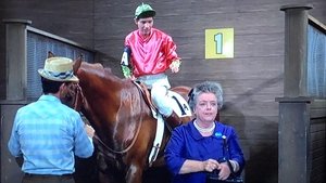 Poster for The Race Horse