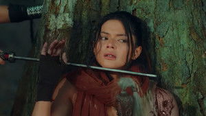 Poster for The Arrival of Pirena and Terra in Asilades