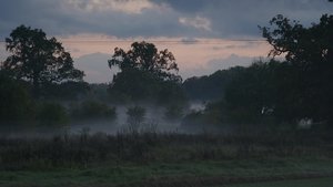 Poster for Episode 22