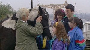 Poster for Episode 18 Poster for Episode 18