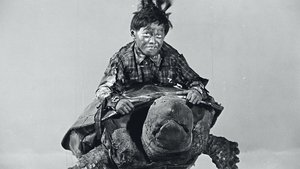 Poster for Grow Up! Little Turtle