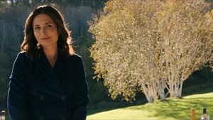 Poster for Pirate Lady