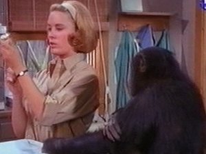 Poster for Judy's Hour of Peril