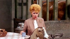 Poster for Lucy Discovers Wayne Newton