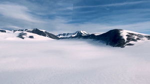 Poster for Microbe Hunting in Antarctica