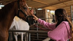 Poster for Horses Poster for Horses