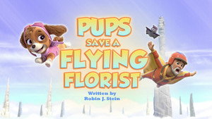 Poster for Pups Save a Flying Florist