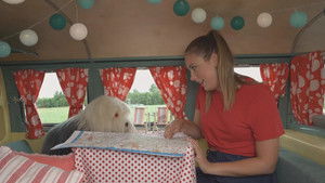 Poster for Episode 13