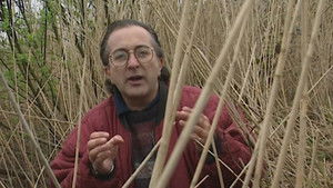 Poster for The Guerrilla Base of the King - Athelney, Somerset