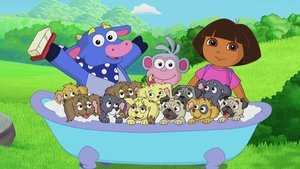 Poster for Puppies Galore