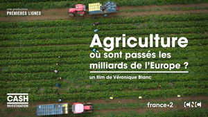Poster for Agriculture: where did Europe's billions go?