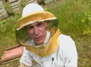 Poster for Insects Poster for Insects