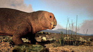 Poster for Episode 6 Poster for Episode 6