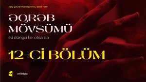 Poster for Episode 12