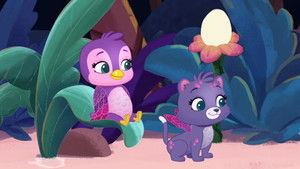 Poster for Starry Sleep Over