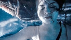 Poster for Dragonflies (1)