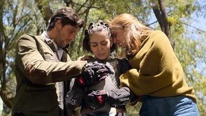 Poster for The Ranch