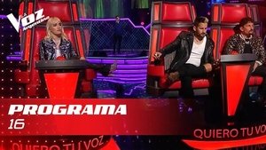 Poster for Episode 16⎜Blind Auditions
