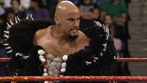 Poster for Superstars - Nov 07, 1992