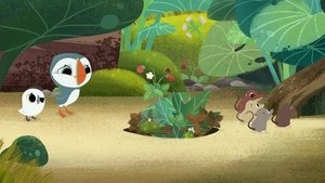 Poster for Follow the Puffin