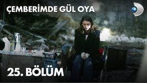 Poster for Episode 25