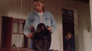 Poster for Black Rhino