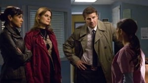 Poster for The Doctor in the Den